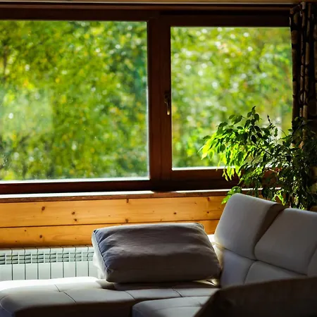 Abies Alba 아파트 Yarema